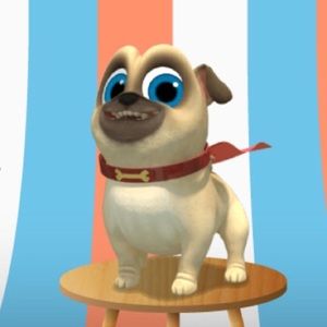 Meet your Posher, Ann marie